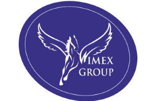 logoтип vimeks