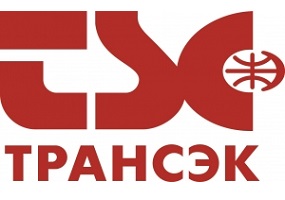Трансэк логотип